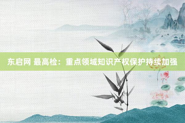东启网 最高检：重点领域知识产权保护持续加强