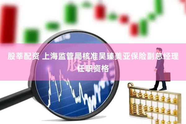 股莘配资 上海监管局核准吴臻美亚保险副总经理任职资格