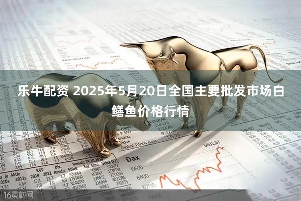 乐牛配资 2025年5月20日全国主要批发市场白鳝鱼价格行情