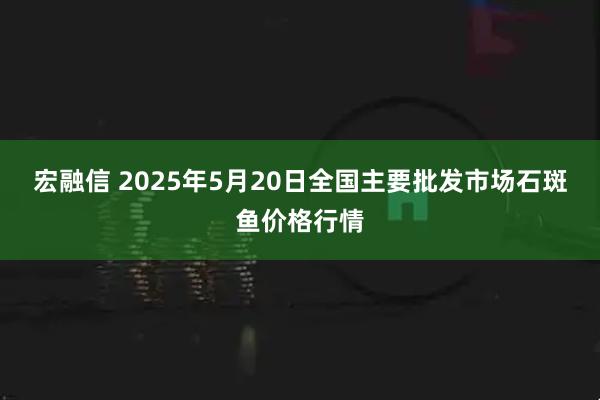 宏融信 2025年5月20日全国主要批发市场石斑鱼价格行情