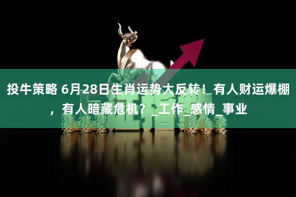 投牛策略 6月28日生肖运势大反转！有人财运爆棚，有人暗藏危机？_工作_感情_事业