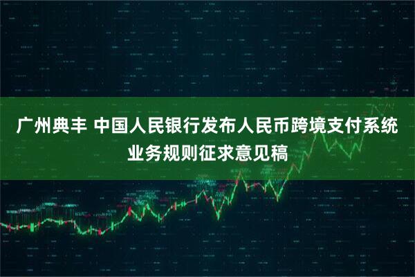 广州典丰 中国人民银行发布人民币跨境支付系统业务规则征求意见稿