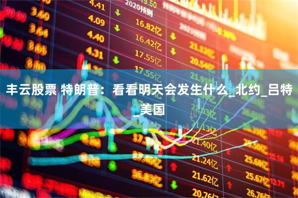 丰云股票 特朗普：看看明天会发生什么_北约_吕特_美国
