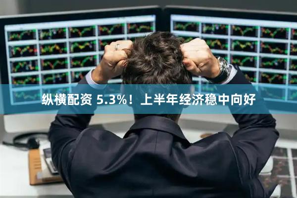 纵横配资 5.3%！上半年经济稳中向好