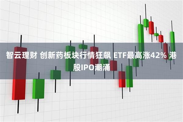 智云理财 创新药板块行情狂飙 ETF最高涨42% 港股IPO潮涌