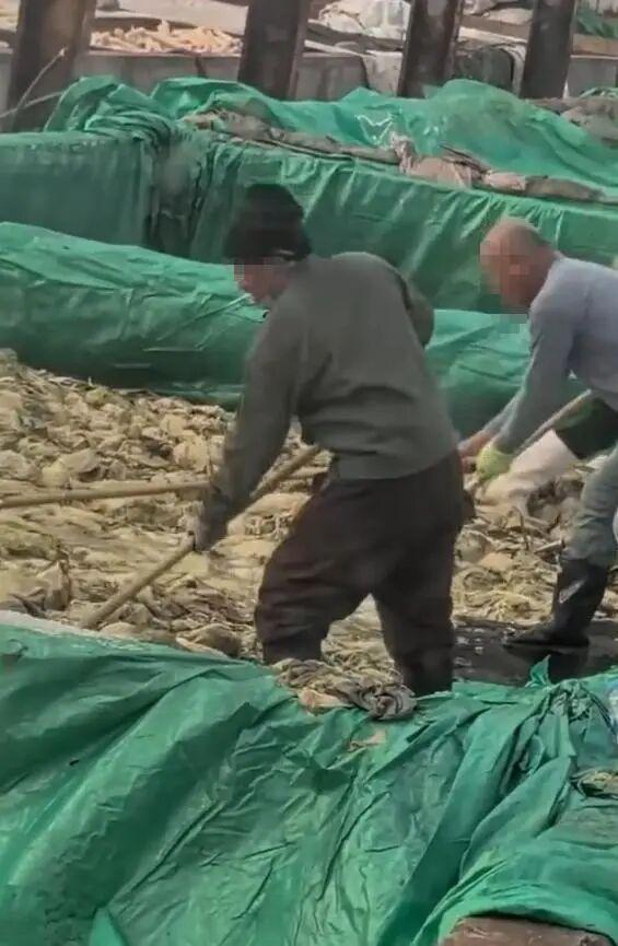 括普投资 辽宁一男子在酸菜池抽烟乱吐，当地回应：非常重视，相关人员已抵达现场进行调查