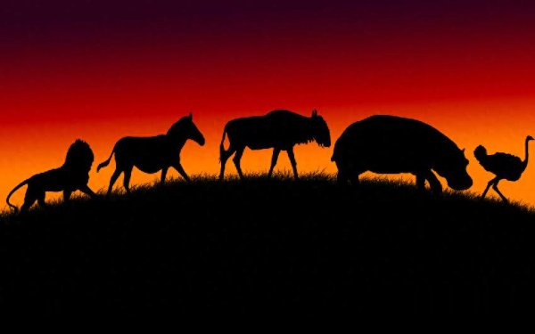 美林配资 对人类与生俱来的恐惧，是非洲大型动物的生存之道